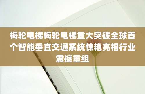 梅轮电梯梅轮电梯重大突破全球首个智能垂直交通系统惊艳亮相行业震撼重组