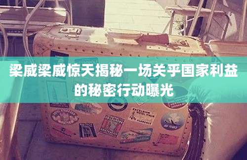 梁威梁威惊天揭秘一场关乎国家利益的秘密行动曝光