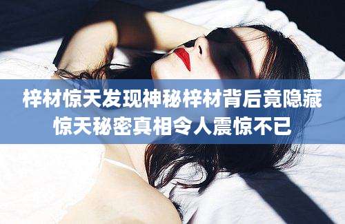 梓材惊天发现神秘梓材背后竟隐藏惊天秘密真相令人震惊不已