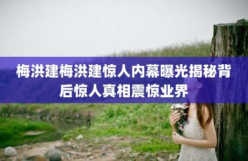 梅洪建梅洪建惊人内幕曝光揭秘背后惊人真相震惊业界