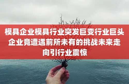 模具企业模具行业突发巨变行业巨头企业竟遭遇前所未有的挑战未来走向引行业震惊