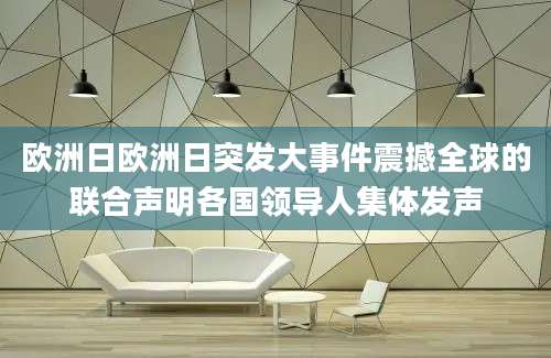 欧洲日欧洲日突发大事件震撼全球的联合声明各国领导人集体发声