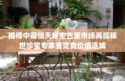 樽樽中藏惊天秘密古董市场再现稀世珍宝专家鉴定竟价值连城