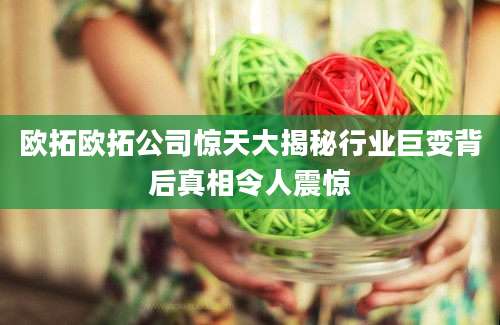 欧拓欧拓公司惊天大揭秘行业巨变背后真相令人震惊