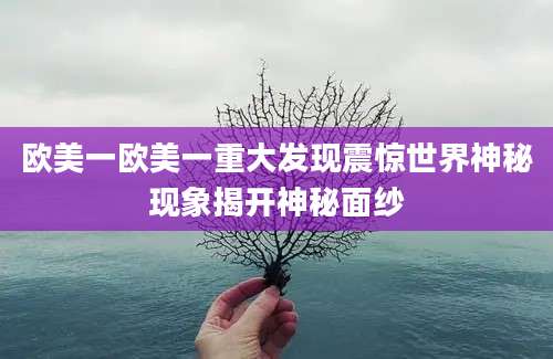 欧美一欧美一重大发现震惊世界神秘现象揭开神秘面纱