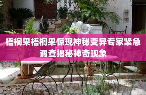 梧桐果梧桐果惊现神秘变异专家紧急调查揭秘神奇现象