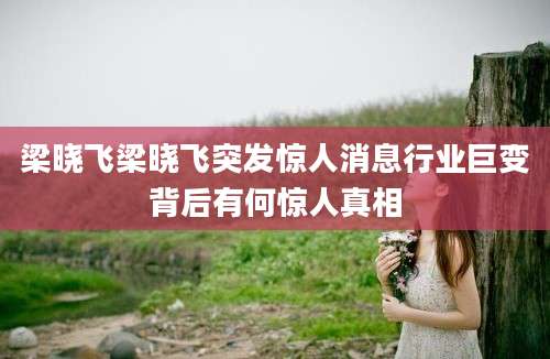 梁晓飞梁晓飞突发惊人消息行业巨变背后有何惊人真相