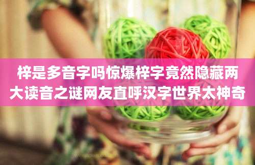 梓是多音字吗惊爆梓字竟然隐藏两大读音之谜网友直呼汉字世界太神奇