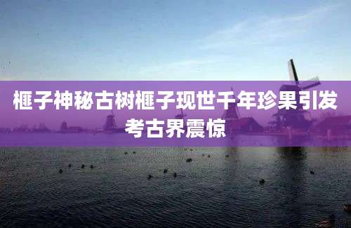 榧子神秘古树榧子现世千年珍果引发考古界震惊