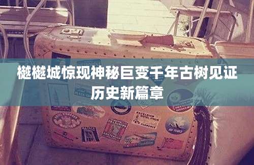 樾樾城惊现神秘巨变千年古树见证历史新篇章