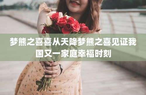 梦熊之喜喜从天降梦熊之喜见证我国又一家庭幸福时刻