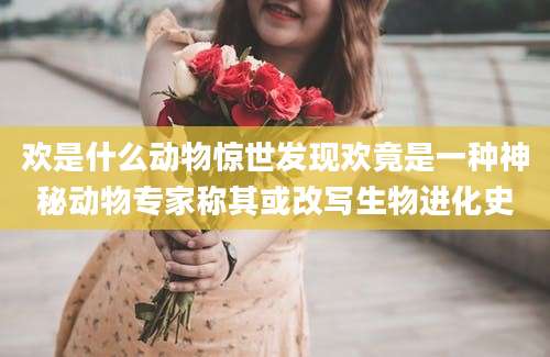 欢是什么动物惊世发现欢竟是一种神秘动物专家称其或改写生物进化史