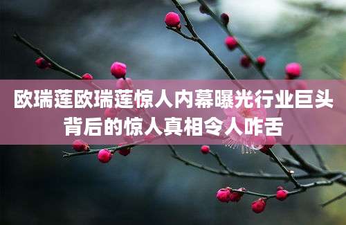 欧瑞莲欧瑞莲惊人内幕曝光行业巨头背后的惊人真相令人咋舌