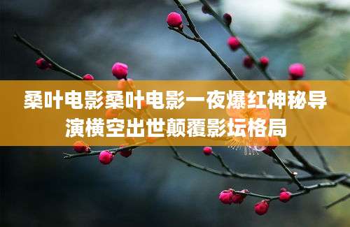 桑叶电影桑叶电影一夜爆红神秘导演横空出世颠覆影坛格局