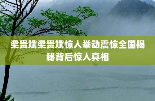 梁贵斌梁贵斌惊人举动震惊全国揭秘背后惊人真相