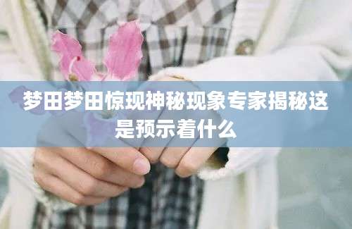 梦田梦田惊现神秘现象专家揭秘这是预示着什么