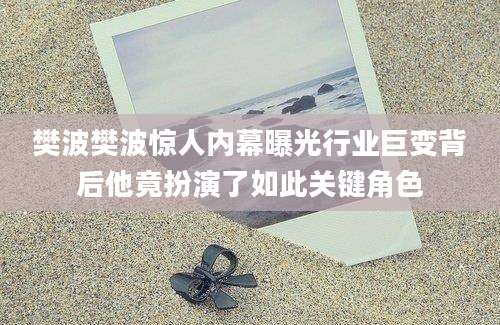 樊波樊波惊人内幕曝光行业巨变背后他竟扮演了如此关键角色