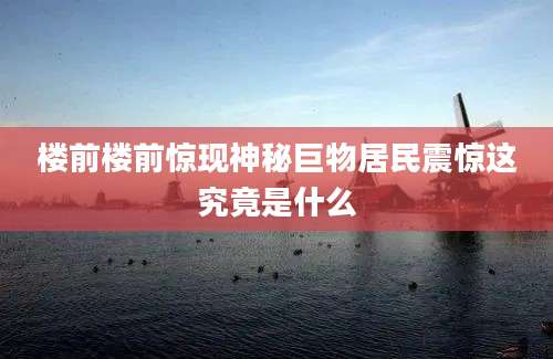 楼前楼前惊现神秘巨物居民震惊这究竟是什么