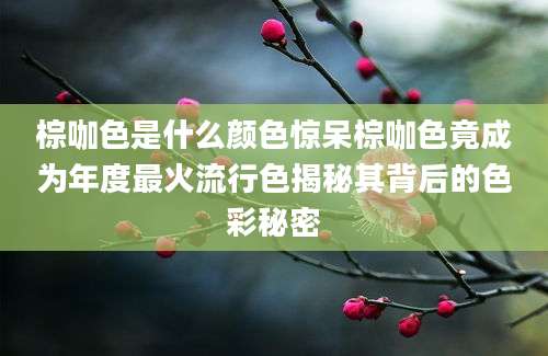 棕咖色是什么颜色惊呆棕咖色竟成为年度最火流行色揭秘其背后的色彩秘密