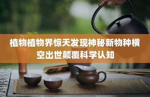 植物植物界惊天发现神秘新物种横空出世颠覆科学认知