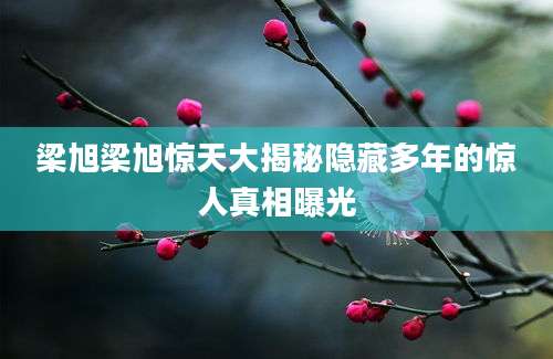 梁旭梁旭惊天大揭秘隐藏多年的惊人真相曝光