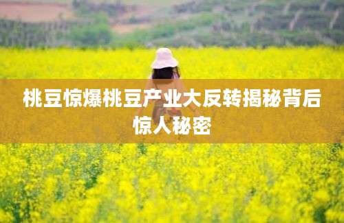 桃豆惊爆桃豆产业大反转揭秘背后惊人秘密