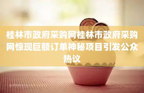 桂林市政府采购网桂林市政府采购网惊现巨额订单神秘项目引发公众热议