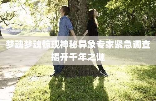 梦魂梦魂惊现神秘异象专家紧急调查揭开千年之谜