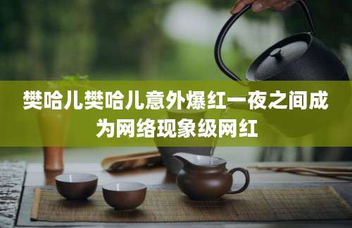 樊哈儿樊哈儿意外爆红一夜之间成为网络现象级网红