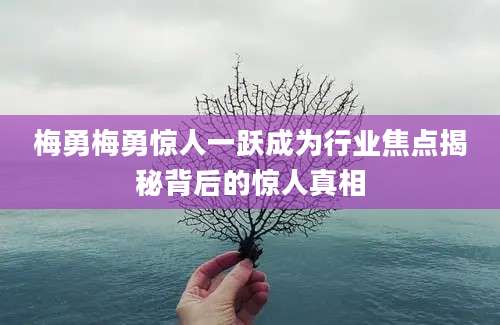 梅勇梅勇惊人一跃成为行业焦点揭秘背后的惊人真相