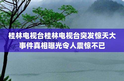 桂林电视台桂林电视台突发惊天大事件真相曝光令人震惊不已