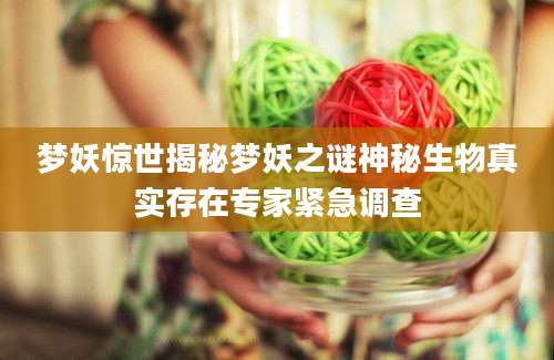 梦妖惊世揭秘梦妖之谜神秘生物真实存在专家紧急调查