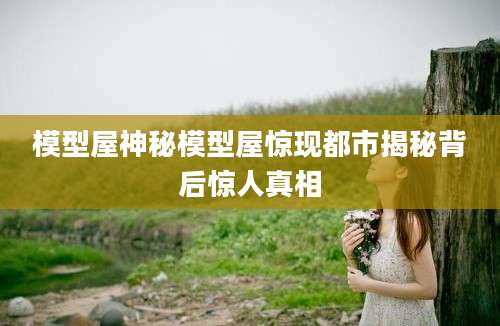 模型屋神秘模型屋惊现都市揭秘背后惊人真相
