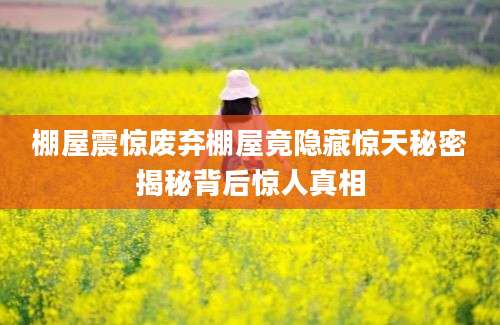 棚屋震惊废弃棚屋竟隐藏惊天秘密揭秘背后惊人真相