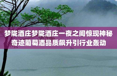 梦陇酒庄梦陇酒庄一夜之间惊现神秘奇迹葡萄酒品质飙升引行业轰动