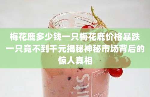 梅花鹿多少钱一只梅花鹿价格暴跌一只竟不到千元揭秘神秘市场背后的惊人真相