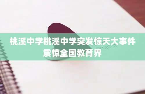 桃溪中学桃溪中学突发惊天大事件震惊全国教育界