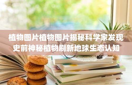 植物图片植物图片揭秘科学家发现史前神秘植物刷新地球生态认知