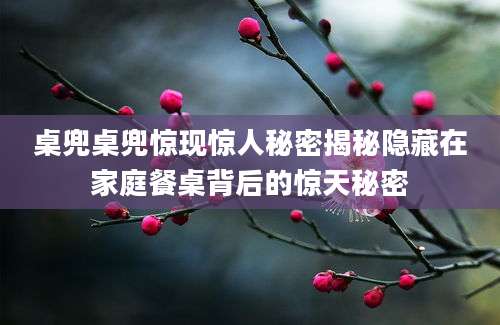 桌兜桌兜惊现惊人秘密揭秘隐藏在家庭餐桌背后的惊天秘密