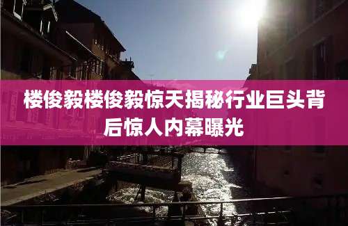 楼俊毅楼俊毅惊天揭秘行业巨头背后惊人内幕曝光