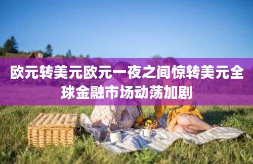 欧元转美元欧元一夜之间惊转美元全球金融市场动荡加剧
