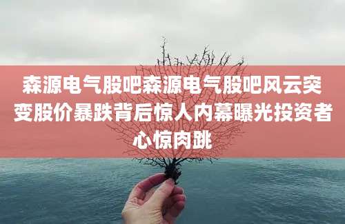 森源电气股吧森源电气股吧风云突变股价暴跌背后惊人内幕曝光投资者心惊肉跳