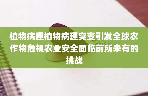 植物病理植物病理突变引发全球农作物危机农业安全面临前所未有的挑战