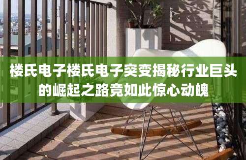 楼氏电子楼氏电子突变揭秘行业巨头的崛起之路竟如此惊心动魄