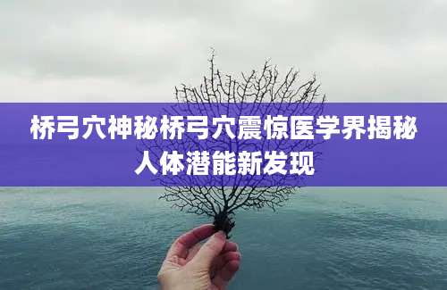 桥弓穴神秘桥弓穴震惊医学界揭秘人体潜能新发现