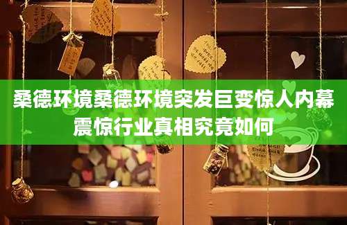 桑德环境桑德环境突发巨变惊人内幕震惊行业真相究竟如何