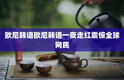 欧尼韩语欧尼韩语一夜走红震惊全球网民