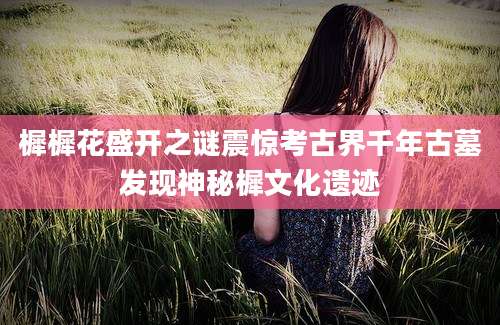 樨樨花盛开之谜震惊考古界千年古墓发现神秘樨文化遗迹