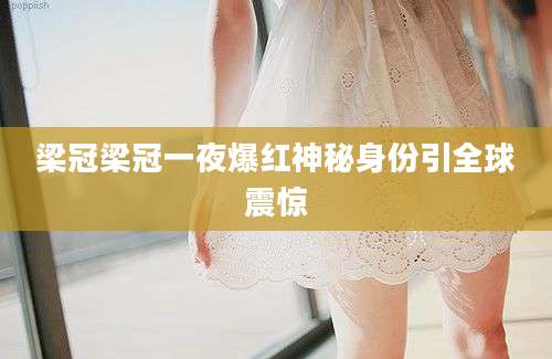 梁冠梁冠一夜爆红神秘身份引全球震惊