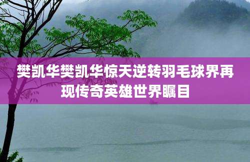 樊凯华樊凯华惊天逆转羽毛球界再现传奇英雄世界瞩目